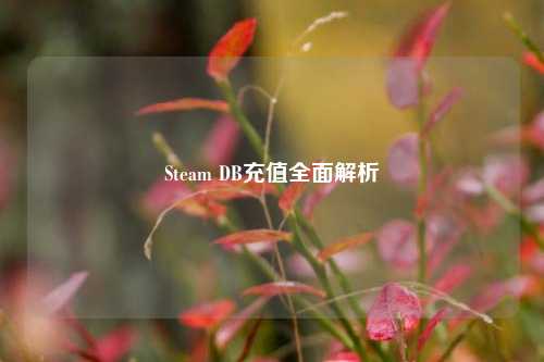 Steam DB充值全面解析