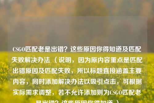 CSGO匹配老是出错?这些原因你得知道及匹配失败解决办法 (说明,因为原内容重点是匹配出错原因及匹配失败,所以标题直接涵盖主要内容,同时添加解决办法以吸引点击,可根据实际需求调整,若不允许添加则为CSGO匹配老是出错?这些原因你得知道 )