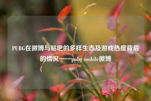 PUBG在微博与贴吧的多样生态及游戏热度背后的情况——pubg mobile微博