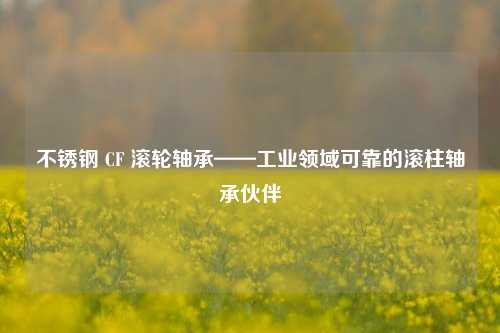 不锈钢 CF 滚轮轴承——工业领域可靠的滚柱轴承伙伴