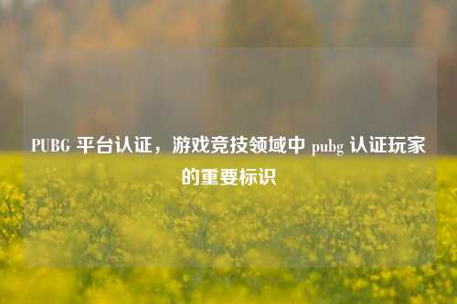 PUBG 平台认证,游戏竞技领域中 pubg 认证玩家的重要标识