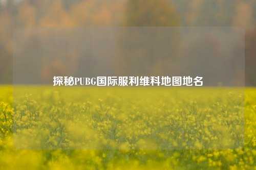 探秘PUBG国际服利维科地图地名