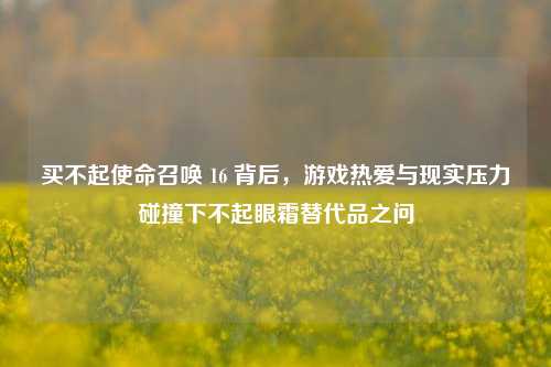 买不起使命召唤 16 背后,游戏热爱与现实压力碰撞下不起眼霜替代品之问