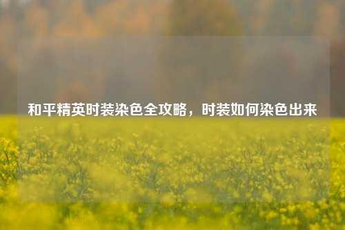 和平精英时装染色全攻略,时装如何染色出来