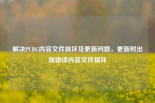解决PUBG内容文件损坏及更新问题,更新时出现错误内容文件损坏