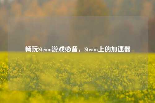 畅玩Steam游戏必备，Steam上的加速器