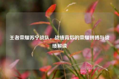 王者荣耀苏宁战队,战绩背后的荣耀拼搏与战绩解读