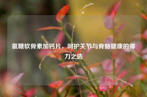 氨糖软骨素加钙片,呵护关节与骨骼健康的得力之选