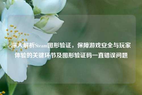 深入解析Steam图形验证,保障游戏安全与玩家体验的关键环节及图形验证码一直错误问题