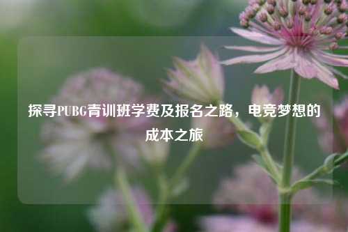 探寻PUBG青训班学费及报名之路,电竞梦想的成本之旅