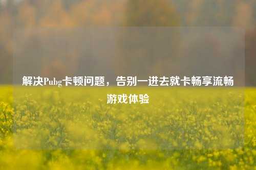 解决Pubg卡顿问题，告别一进去就卡畅享流畅游戏体验