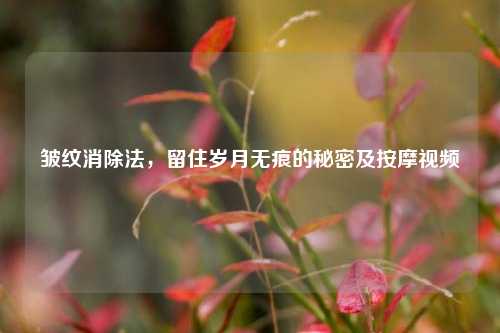 皱纹消除法,留住岁月无痕的秘密及 *** 视频