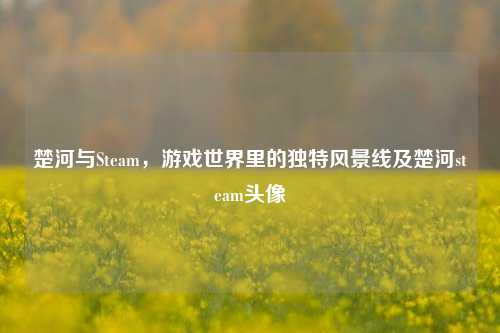 楚河与Steam，游戏世界里的独特风景线及楚河steam头像