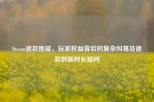 Steam退款拖延,玩家权益背后的复杂纠葛及退款到账时长疑问