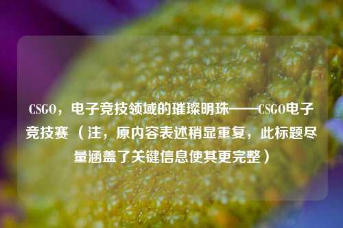 CSGO,电子竞技领域的璀璨明珠——CSGO电子竞技赛 (注,原内容表述稍显重复,此标题尽量涵盖了关键信息使其更完整)