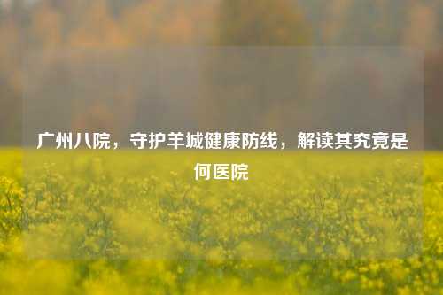 广州八院，守护羊城健康防线，解读其究竟是何医院