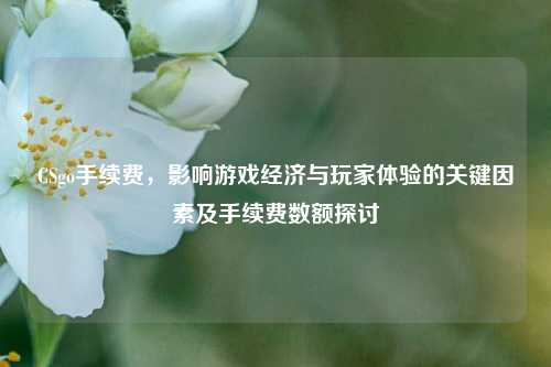 CSgo手续费,影响游戏经济与玩家体验的关键因素及手续费数额探讨