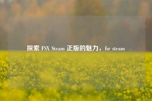 探索 FSX Steam 正版的魅力,fsr steam