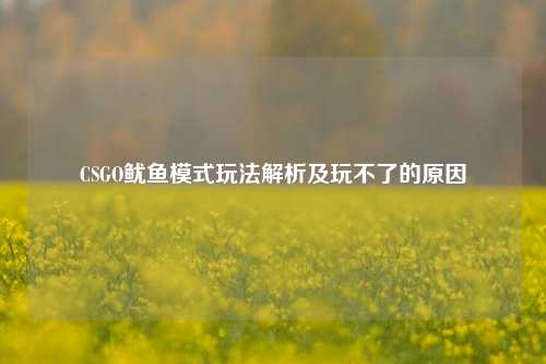 CSGO鱿鱼模式玩法解析及玩不了的原因