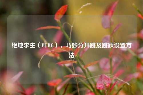 绝地求生(PUBG),巧妙分开跳及跳跃设置 ***