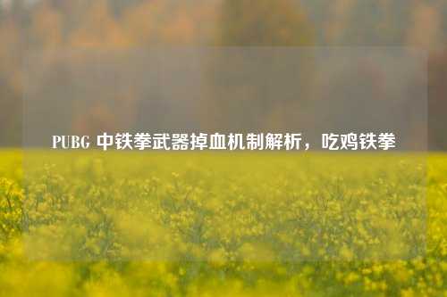 PUBG 中铁拳武器掉血机制解析,吃鸡铁拳