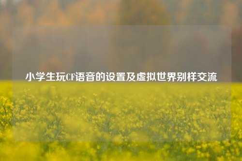 小学生玩CF语音的设置及虚拟世界别样交流