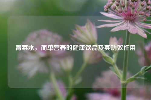 青菜水，简单营养的健康饮品及其功效作用
