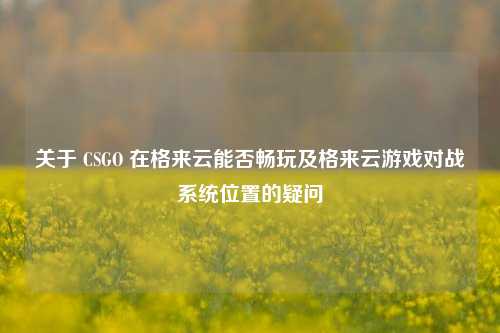 关于 CSGO 在格来云能否畅玩及格来云游戏对战系统位置的疑问