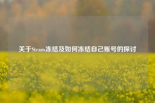 关于Steam冻结及如何冻结自己账号的探讨