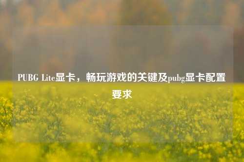 PUBG Lite显卡，畅玩游戏的关键及pubg显卡配置要求