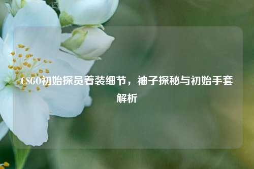 CSGO初始探员着装细节,袖子探秘与初始手套解析