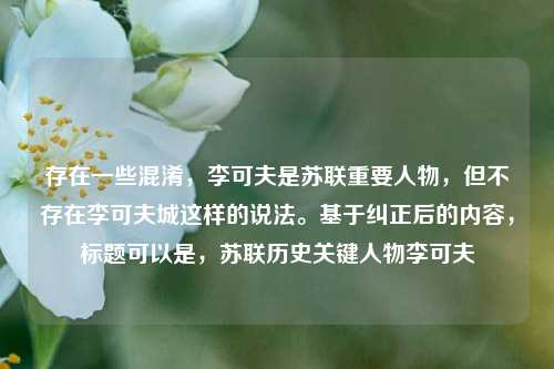 存在一些混淆,李可夫是苏联重要人物,但不存在李可夫城这样的说法。基于纠正后的内容,标题可以是,苏联历史关键人物李可夫