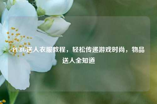 PUBG送人衣服教程,轻松传递游戏时尚,物品送人全知道