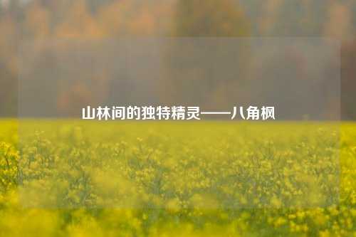 山林间的独特精灵——八角枫