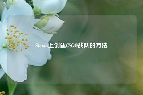 Steam上创建CSGO战队的 ***
