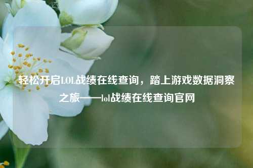 轻松开启LOL战绩在线查询,踏上游戏数据洞察之旅——lol战绩在线查询官网