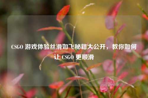 CSGO 游戏体验丝滑如飞秘籍大公开，教你如何让 CSGO 更顺滑