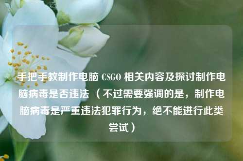 手把手教 *** 电脑 CSGO 相关内容及探讨 *** 电脑病毒是否违法 (不过需要强调的是, *** 电脑病毒是严重违法犯罪行为,绝不能进行此类尝试)