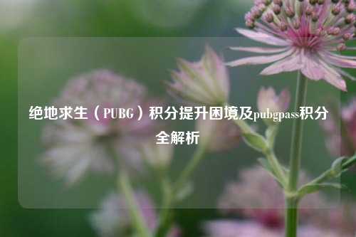 绝地求生(PUBG)积分提升困境及pubgpass积分全解析