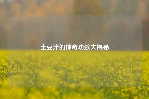 土豆汁的神奇功效大揭秘