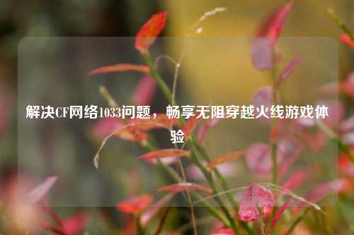解决CF *** 1033问题，畅享无阻穿越火线游戏体验