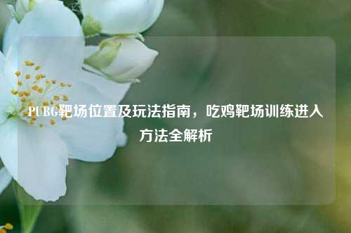 PUBG靶场位置及玩法指南,吃鸡靶场训练进入 *** 全解析