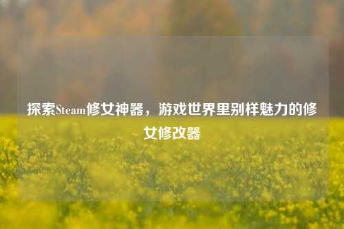 探索Steam修女神器,游戏世界里别样魅力的修女修改器