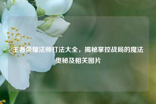 王者荣耀法师打法大全,揭秘掌控战局的魔法奥秘及相关图片