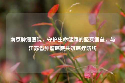 南京肿瘤医院,守护生命健康的坚实堡垒,与江苏省肿瘤医院共筑医疗防线