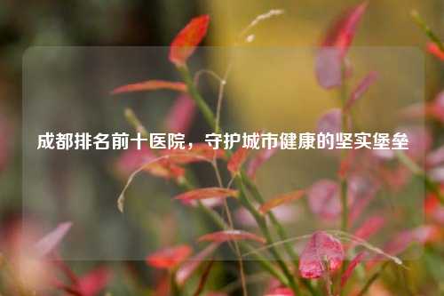 成都排名前十医院,守护城市健康的坚实堡垒