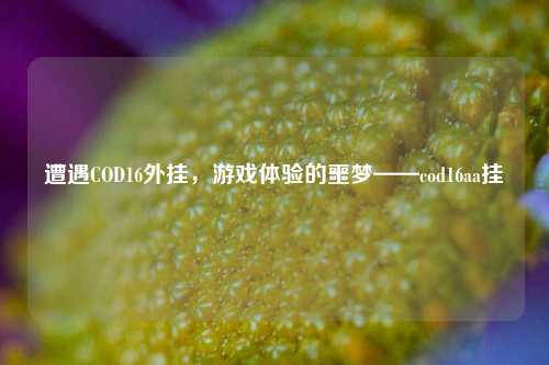遭遇COD16外挂，游戏体验的噩梦——cod16aa挂