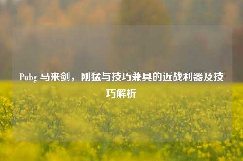 Pubg 马来剑,刚猛与技巧兼具的近战利器及技巧解析