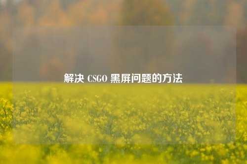 解决 CSGO 黑屏问题的 *** 
