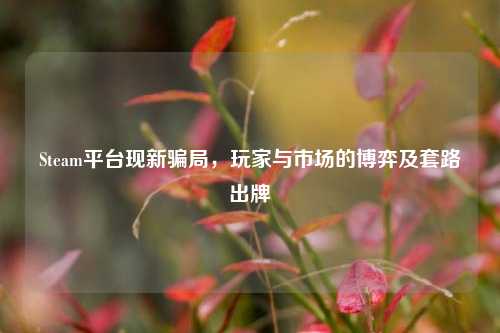 Steam平台现新骗局,玩家与市场的博弈及套路出牌